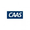 CAAS Power Wave RDM 100% Carbon mast